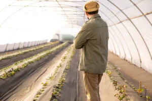 Leia mais sobre o artigo Proteção contra Granizo e Danos do Vento na produção agrícola