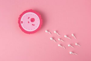 Leia mais sobre o artigo É possível engravidar fora do período fértil?