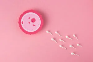 Leia mais sobre o artigo É possível engravidar fora do período fértil?